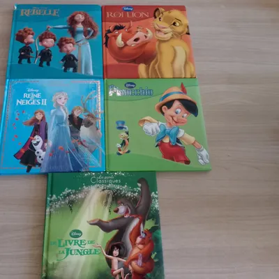 lot de 5 livres Disney (les grands classiques)